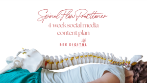 content plan for spinal flow